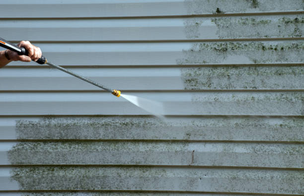 Best Driveway Pressure Washing  in Willamina, OR